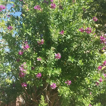 Angelina's Helmata Casa vacanze